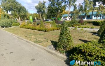 Проект 1 фото