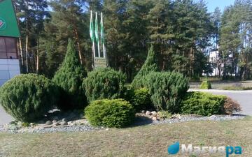 Проект 1 фото