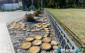 Проект 1 фото