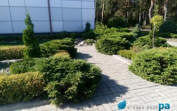 Проект 1 фото