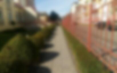 Озеленение территории социально-административных объектов фото