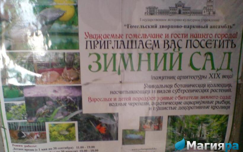 Зимний сад (г.Гомель) фото