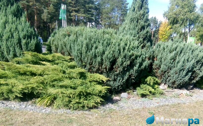 Проект 1 фото