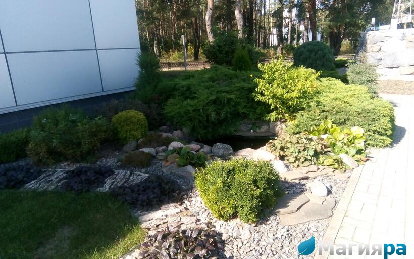 Проект 1 фото