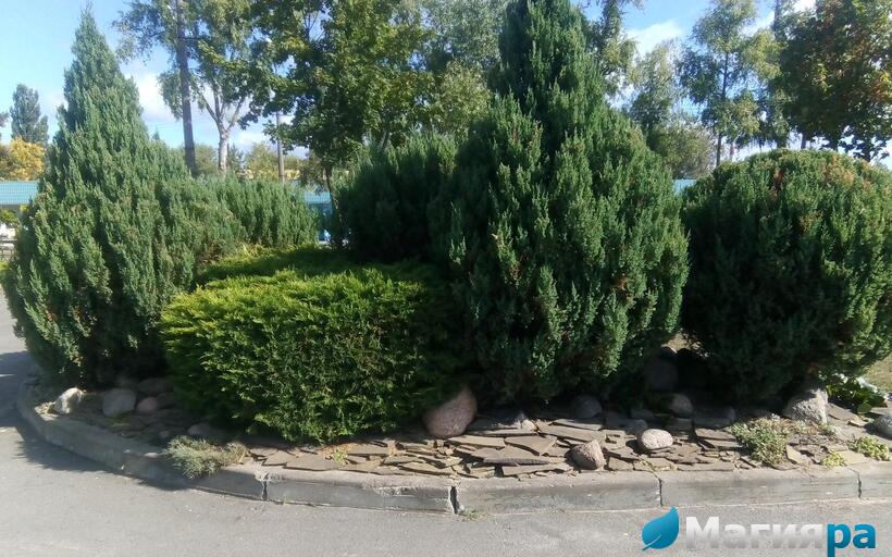 Проект 1 фото