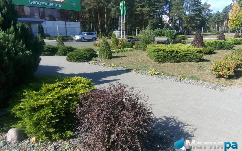 Проект 1 фото