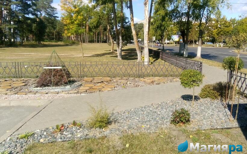 Проект 1 фото