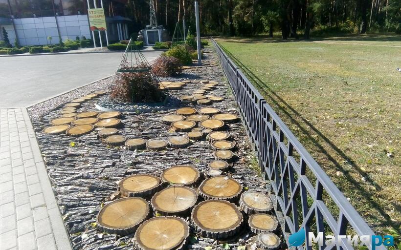 Проект 1 фото