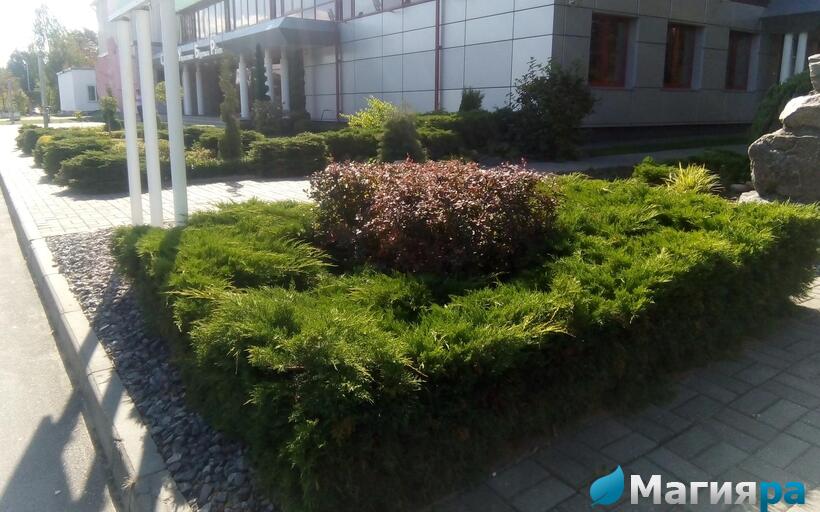 Проект 1 фото