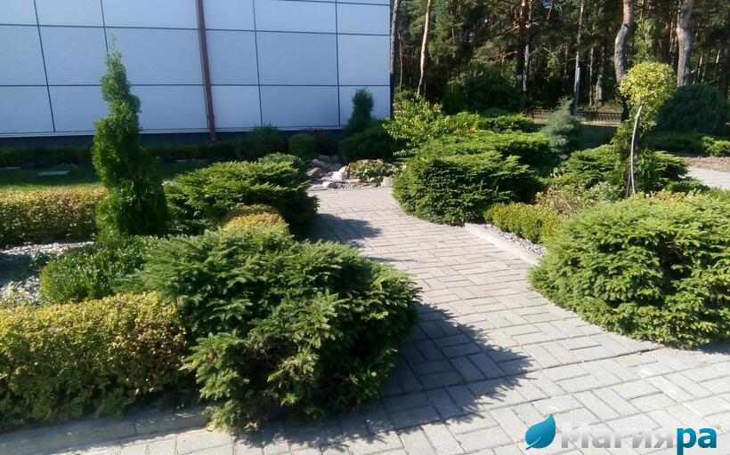 Проект 1 фото