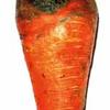 Черная ножка моркови фото